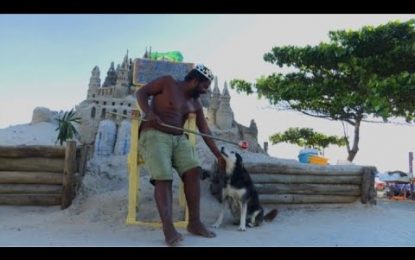 El ‘monarca’ que vive hace 22 años en un castillo de arena, en medio de una playa (FOTOS, VIDEO)