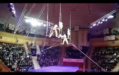 VIDEO: Una acróbata cae desde una altura vertiginosa durante una actuación de circo