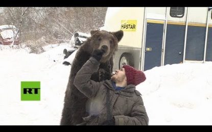 Un oso empuja la silla de ruedas de su entrenador, que sufrió un grave accidente (VIDEO)