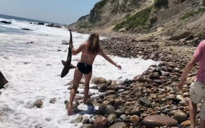 VIDEO: Una adolescente salva un tiburón agarrándolo con las manos desnudas