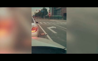 “Lección instantánea”: Motociclista devuelve a una conductora la basura que tiró de su coche (VIDEO)