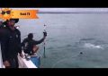 VIDEO: Lanza un cebo para atraer a un tiburón y acaba en un ‘tira y afloja’ con el animal