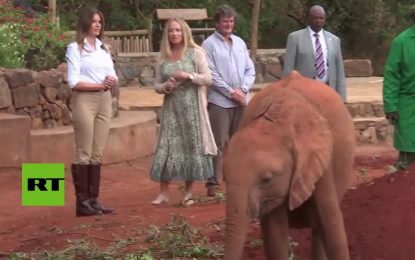 VIDEO: Un pequeño elefante se lanza sobre Melania Trump y casi la tumba