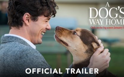 El Anuncio Oficial A Dog’s Way Home