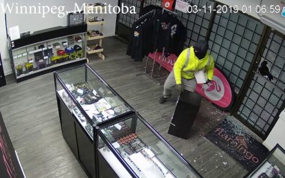 VIDEO: Dos ladrones protagonizan un esperpéntico robo en una tienda de cigarrillos electrónicos