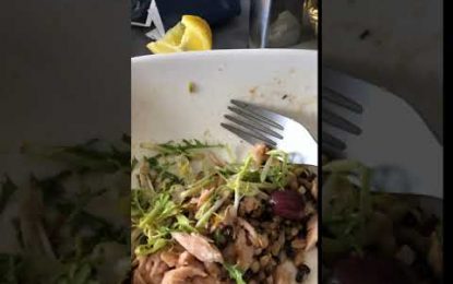 VIDEO: Pasajero de primera clase descubre una larva en el plato que le sirvieron en el vuelo