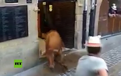 VIDEO: Una vaca ‘visita’ una cafetería en España y pone en fuga a los atemorizados clientes