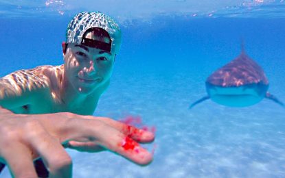 VIDEO: Un ‘youtuber’ pone a prueba el olfato de los tiburones utilizando su propia sangre como carnada