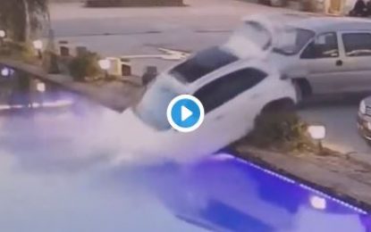 VIDEO: Un perro ‘conduce’ accidentalmente el automóvil de su dueño y lo sumerge en un estanque