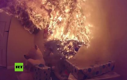 VIDEO: Así de rápido arde un árbol de Navidad natural si dejas que se seque