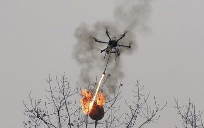 Un dron lanzallamas incinera nidos de avispas en China (VIDEO)