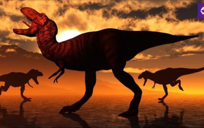 Descubren que no fue uno sino tres tipos diferentes de Tyrannosaurus Rex