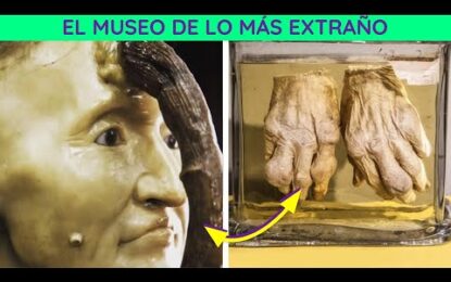 Hoy conocerás 20 curiosidades que seguramente no sabías.